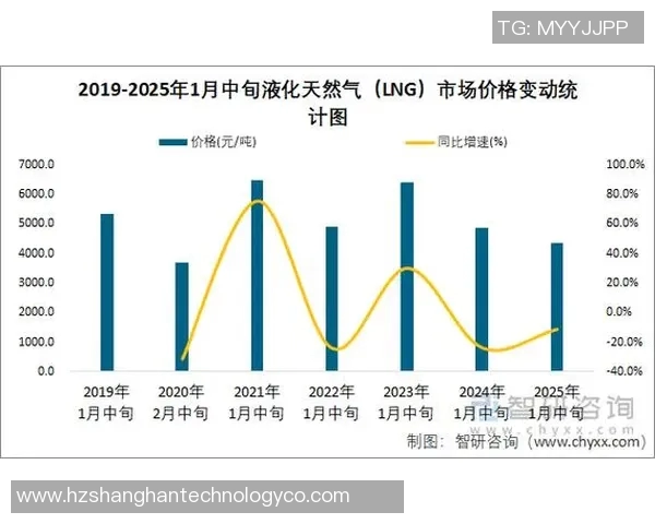 专业分析：LNG如何通过快速策略在市场中占据优势