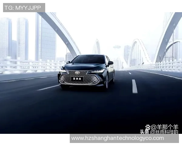 上海乒乓球队在洲际杯积分榜上以62分稳居第一名展现强劲实力