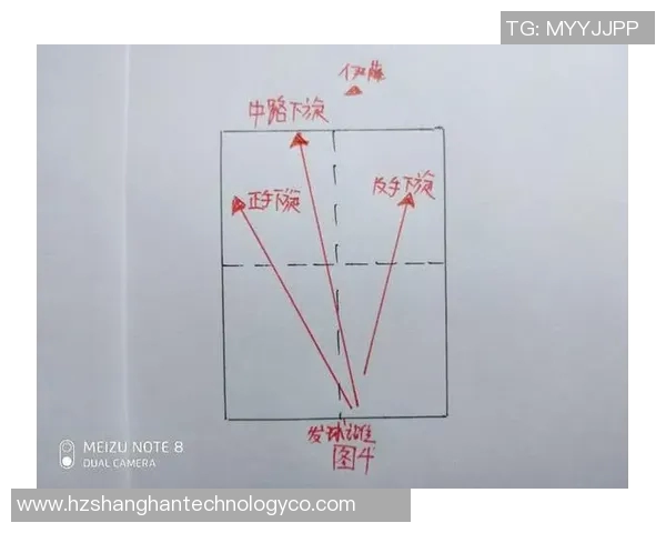 上海篮球队的战术解析与控制能力深度剖析