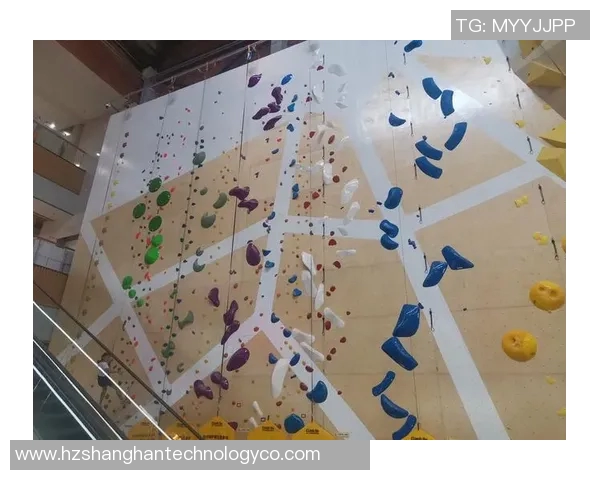 上海攀岩队的崛起与挑战极限运动联赛的成长历程揭秘