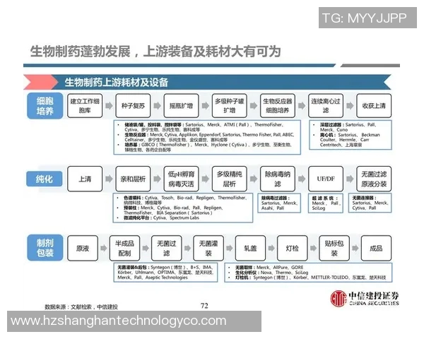 南京与武汉排球队赛后复盘分析意识碰撞与战术调整的深度探讨 南京与武汉排球队赛后复盘分析意识碰撞与战术调整的深度探讨