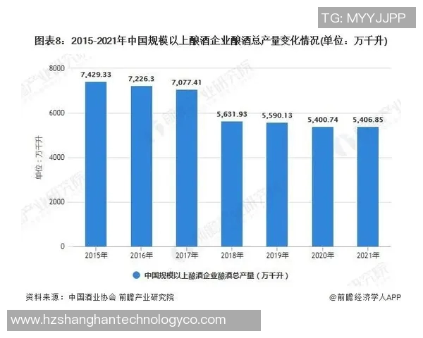 广州排球队运营策略深度分析与市场发展前景探讨