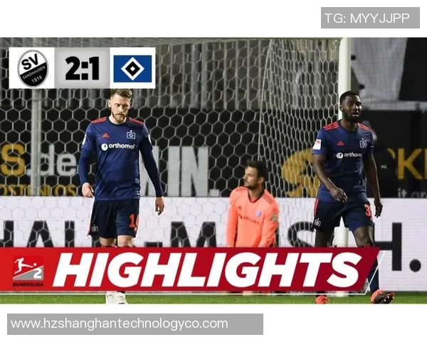 汉堡对桑德豪的精彩比赛比分分析与赛后点评